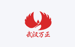 武汉万正